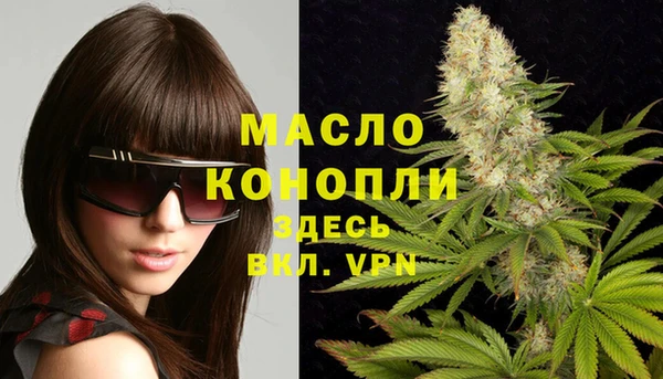 сатива Абинск