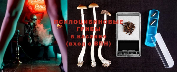 мдпв Алексеевка