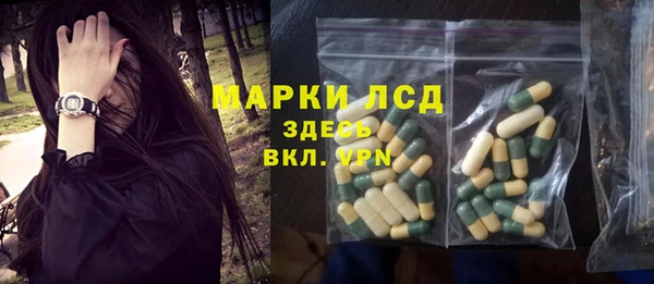 сатива Абинск